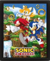 Quadro 3D SONIC – Catching Rings