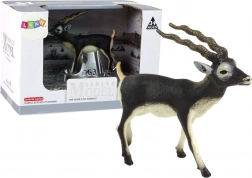 Figura da collezione dell’antilope Blackbuck – animali del mondo