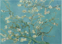 Puzzle Fiori di mandorlo XL 700 pezzi ANATOLIAN