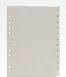 Divisorio A4 1-12 PP