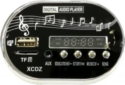 Pannello musicale per macchinina elettrica AUDI R8