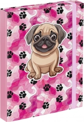 Cartelle per quaderni scolastici A5 - Zampette