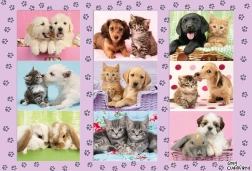 Puzzle Schmidt I miei amici animali 100 pezzi