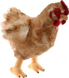Gallina di peluche