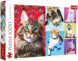 Puzzle Gatte Felici 1000 pezzi 68,3x48 cm in scatola 40x27x6 cm