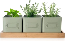 Set di vasi per erbe aromatiche GREENISH con supporto, 3 pz