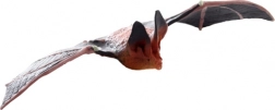 Figura realistica di pipistrello in plastica 19 × 10 × 3 cm