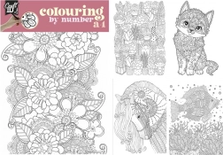 Dipingi per numero A4 con matite duo