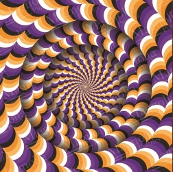 Puzzle illusione ottica 1023 pezzi MAGNOLIA