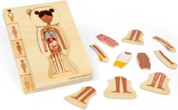 Bigjigs Toys puzzle in legno anatomia – ragazza