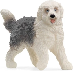 Figura di Old English Sheepdog