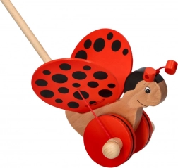 BASTONE TELESCOPICO PER ALBERI su asta