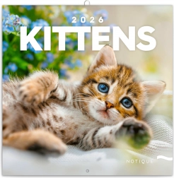 Calendario agenda Gattini 2026