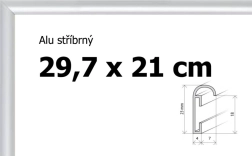 Cornice in alluminio argento A4 29,7x21 cm