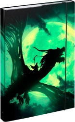 Cartelline per quaderni scolastici A4 con motivo drago BAAGL