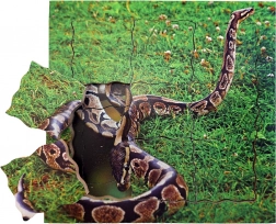 Just Jigsaws aveva un suo ciclo di vita puzzle stratificato in legno