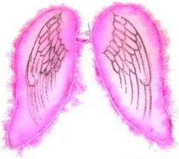 Ali rosa per angelo e fata