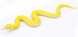 Serpente di gomma morbida 60 cm