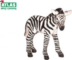 figurina puledro di zebra 7 cm