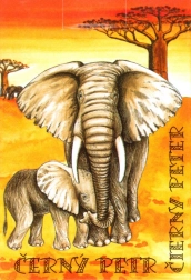Černý Petr - Carte Safari per Bambini