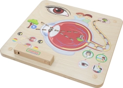 Masterkidz Pannello Educativo Sensoriale Vista Montessori