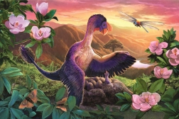 Puzzle Straordinari dinosauri: Microraptor al nido 54 pezzi