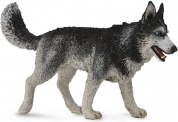 Collecta husky siberiano – figurina