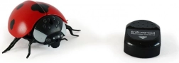 Magana coccinella radiocomandata