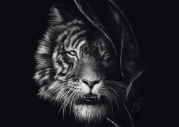 Puzzle Schmidt Ferocia della tigre – incarnazione della libertà 1000 pezzi