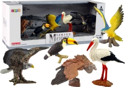 Set di statuine Uccelli del mondo - 5 pezzi