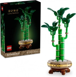 LEGO Botanicals bambù Dracaena sanderiana 10344