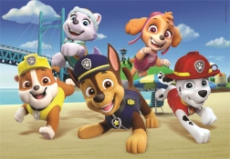 Puzzle maxi 60 pezzi PAW PATROL