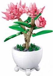 Sluban fiore in vaso – peonie rosa