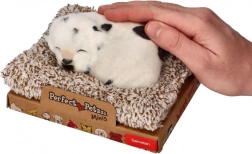 Dalmata che abbaia sul suo lettino