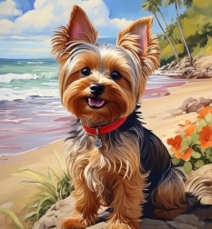 Pittura diamantata Yorkshire in spiaggia 30 × 40 cm