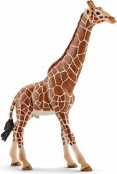 Figuretta maschio di giraffa Schleich Wild Life