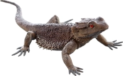 Lucertola di plastica – figurina realistica per bambini