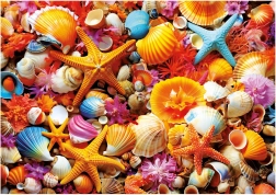 Puzzle Conchiglie 1000 pezzi EDUCA