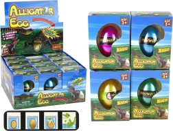 uovo di coccodrillo alligatore che cresce 6 cm