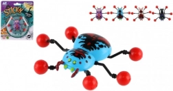 Ragno Rampicante sul Vetro