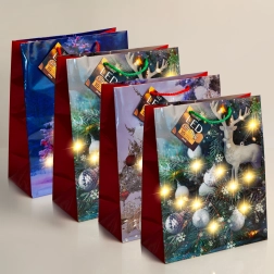 Borsa regalo LED con illuminazione bianca calda - 1 pezzo