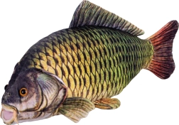 Carpa di peluche 52 cm