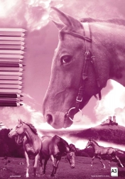 Album da disegno A3 40 fogli