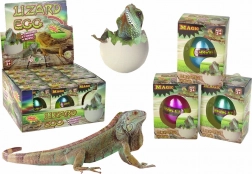 Uovo magico che si schiude – lucertola crescente 6 cm