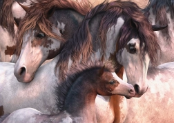 Puzzle Schmidt Cavalli Pinto 1000 pezzi