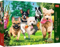 Trefl Puzzle Premium Plus Tea Time: Marachelle canine in giardino 1000 pezzi