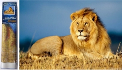 Pittura diamantata Maestà del leone 30x40 cm