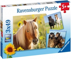 Ravensburger puzzle cavalli adorabili 3×49 pezzi