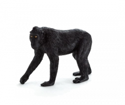 Mojo statuina di macaco crestato – misura media