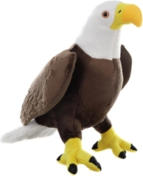 aquila calva di peluche grande